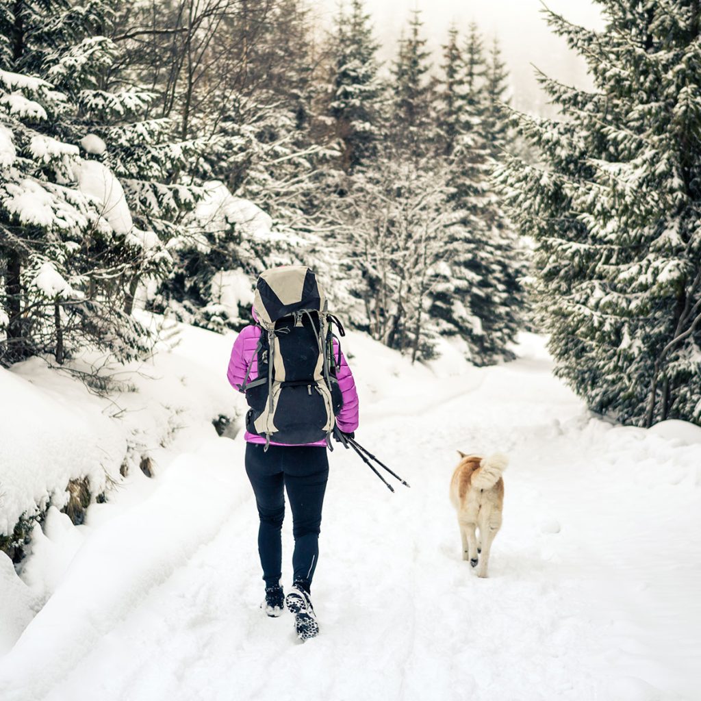 winter-walk