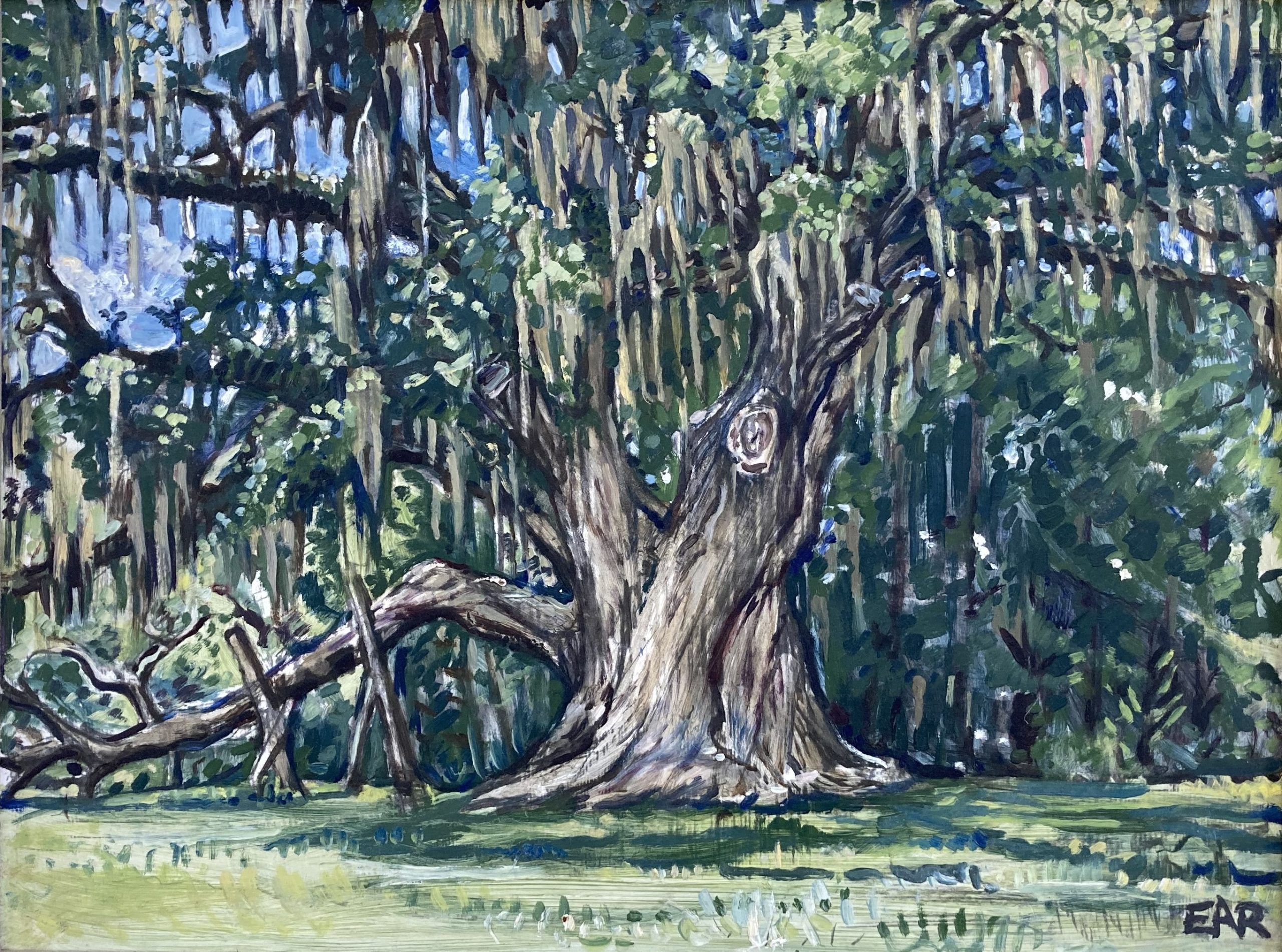 Cellon-Oak
